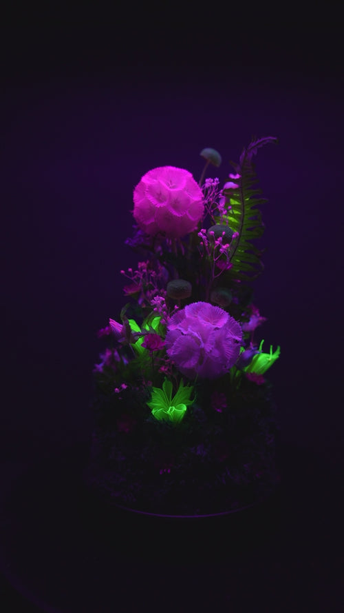 Rotating Ultraviolet Arrangement by Atomic Flora